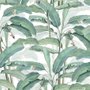 Watercolor Banana Leaf Wallpaper Mural