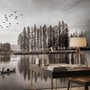 Papier peint panoramique monochrome sur les forêts sombres et les lacs