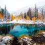 Wintersee-Landschaft mit Kiefernwald Fototapete