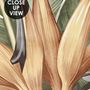 Soft Banana Leaf Pattern Wallpaper Mural