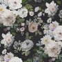 Dunkle Blumen und Weiße Pfingstrosen Fototapete