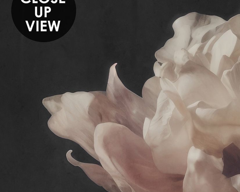 Dutch Dark Floral Wallpaper Mural