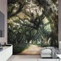 Tree Roots Wallpaper Mural