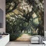 Tree Roots Wallpaper Mural
