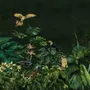 Dark Tropical Plants Wallpaper Mural