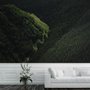 Papier peint panoramique vue aérienne de forêt naturelle sur les montagnes