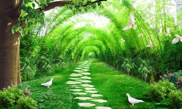 3D Waldweg Landschaft Fototapete
