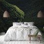 Papier peint panoramique vue aérienne de forêt naturelle sur les montagnes