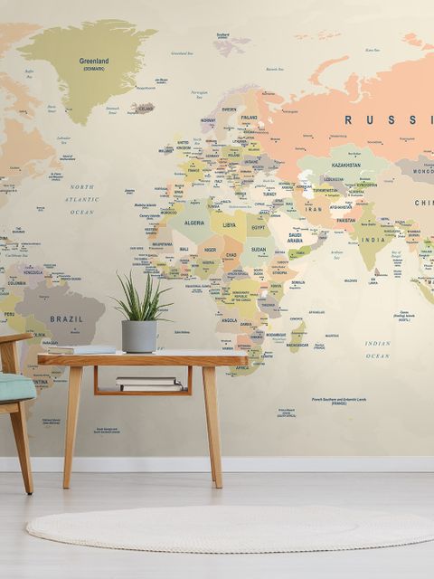 Political World Map Countries Detailed Wallpaper Mural