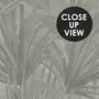 Monochrome Tropical Botanical Wallpaper Mural