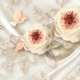 Papier Peint Panoramique avec Oiseaux et Fleurs en Dentelle Douce