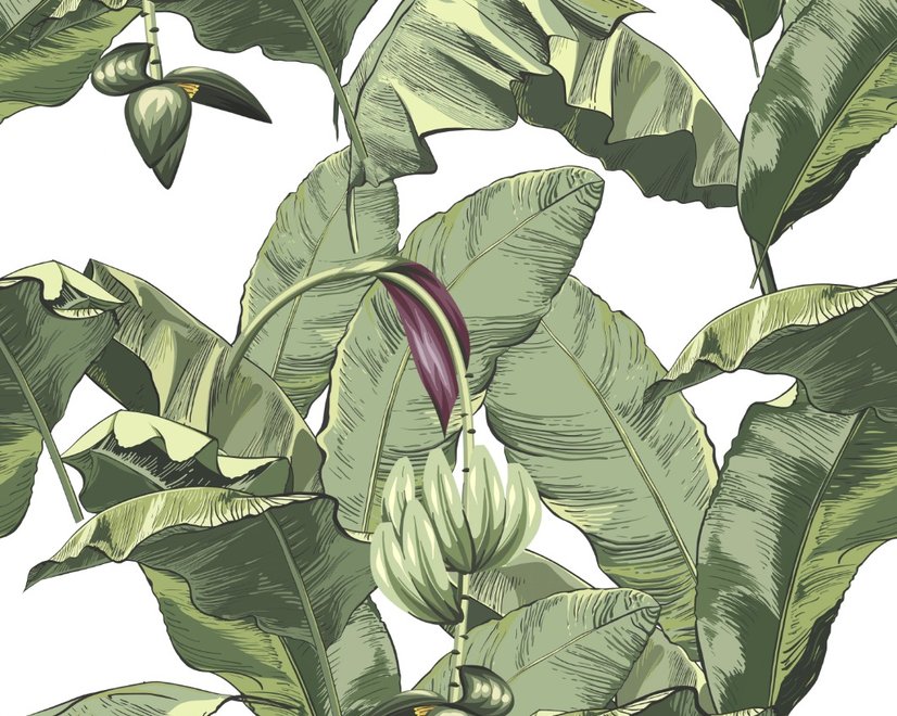 Papier peint feuilles banane tropicales vertes fleurs calla