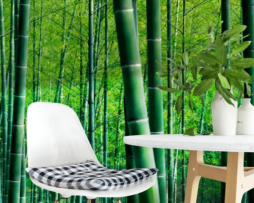 Bamboo Forest Wallpaper Mural