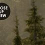 Foggy Pine Forest Landscape Wallpaper Mural