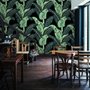 Exotic Banana Leaf Wallpaper Mural