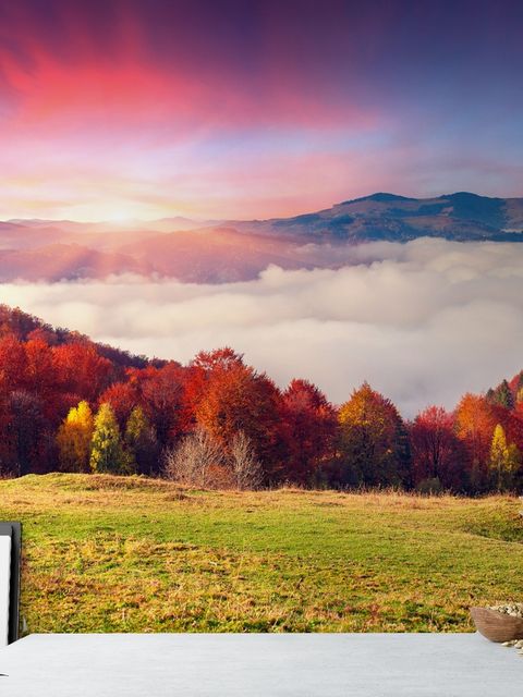 Bunte Natur Herbst Fototapete