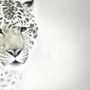 3D Look Monochrome Tiger Wallpaper Mural