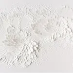 White Wallpaper