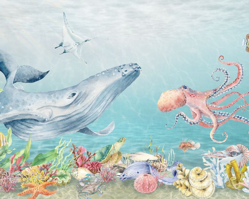 Kids Cute Whale Undersea Wallpaper Murals