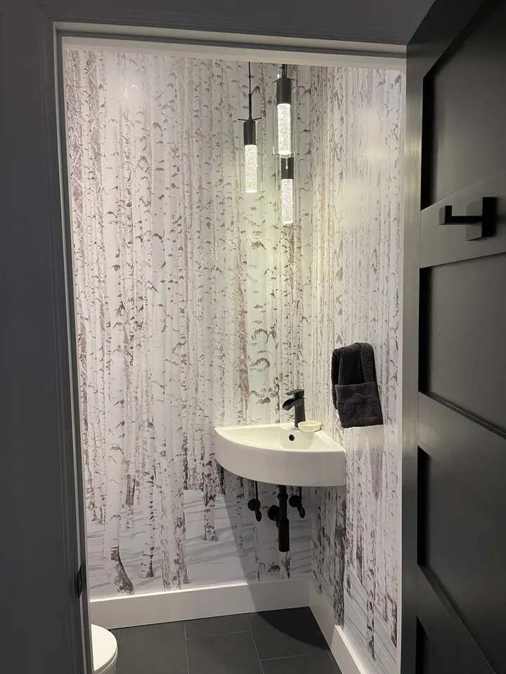 Birch Tree Forest in Winter Wallpaper Mural
