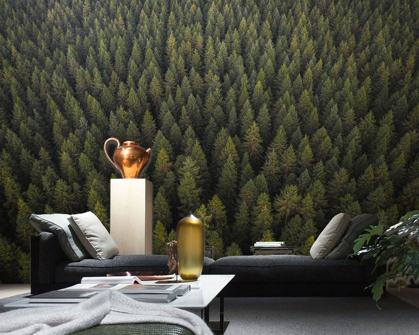 Pine Forest Landscape Wallpaper Mural