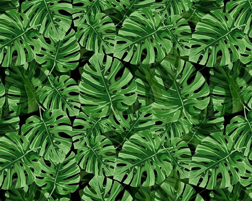 Green Tropical Leaves Wallpaper Mural