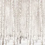 Scandinavian Wallpaper