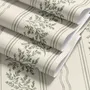 Green aesthetic wallpaper with sage leafy sprigs, fine vertical rules and dotted borders on cream ivory