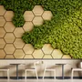 Hexagon Honeycomb Pattern and Fresh Grass Wallpaper Mural