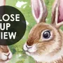 Kids Woodland Animals in the Forest Wallpaper Mural