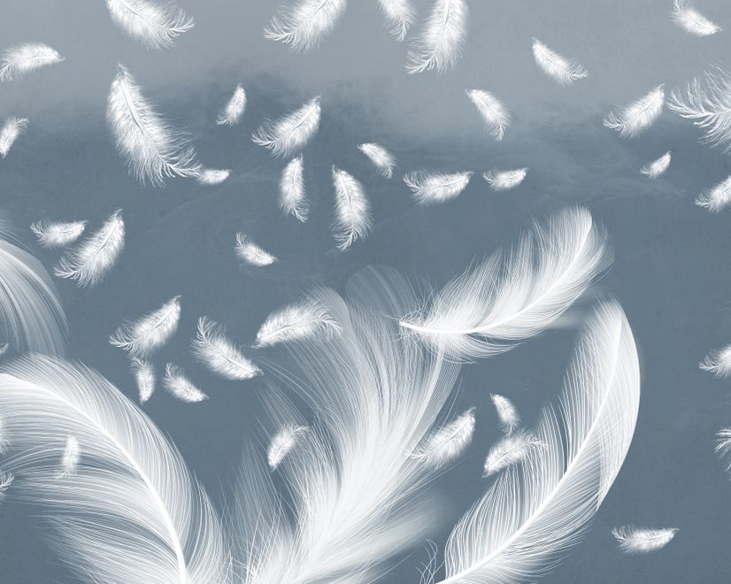 Blue Feathers Wallpaper Mural