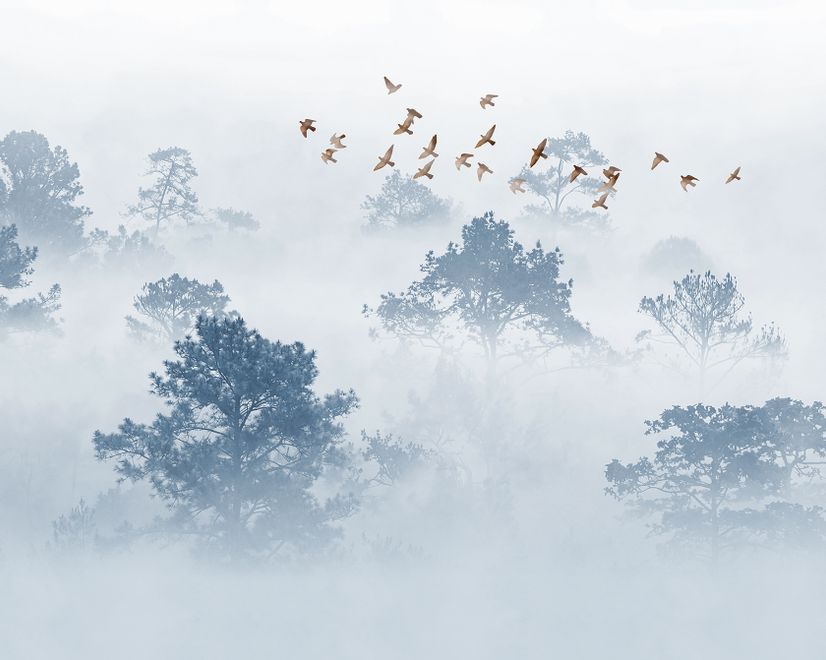 Misty Forest with Birds Wallpaper Mural