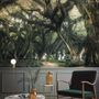 Tree Roots Wallpaper Mural