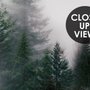 Dunkler Wald Nebel Landschaft Fototapete