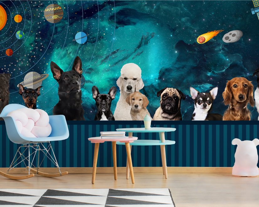Papier peint panoramique chiens dans l'espace