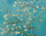 Wallpaper & Wall Murals