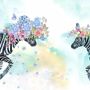 Colorful Flowery Zebra Wallpaper Mural