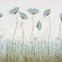 Peinture à l'huile bleu coquelicot fleurs Papier peint panoramique