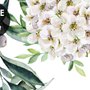 Leuchtendes Gänseblümchen-Blumenstrauß mit grünen Blättern Fototapete