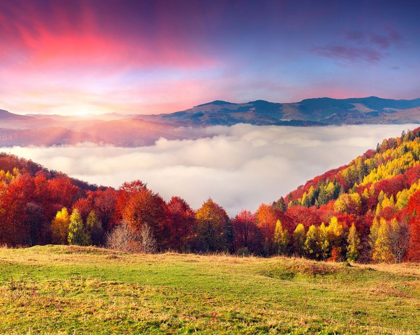 Bunte Natur Herbst Fototapete