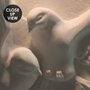 Papier peint panoramique pigeons effet ciment relief 3D
