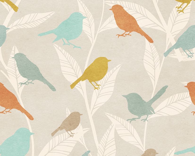Colorful Europian Birds Wallpaper Mural