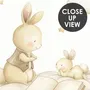 Rabbits on the Clouds and Empty Cages Wallpaper Mural