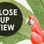 Kids Tropical Jungle Animals Wallpaper Mural