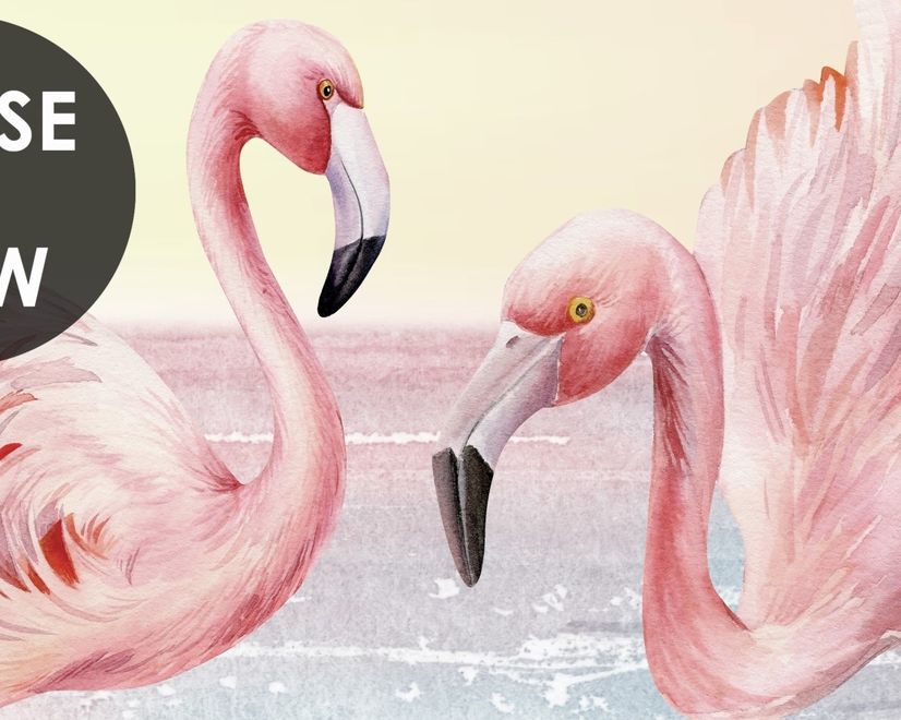Papier peint paysage tropical flamants roses