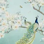 Peacock with Magnolia Blossom Wallpaper Mural