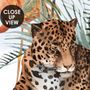 Kids Watercolor Forest with Leopard Wild Animals Wallpaper Mural