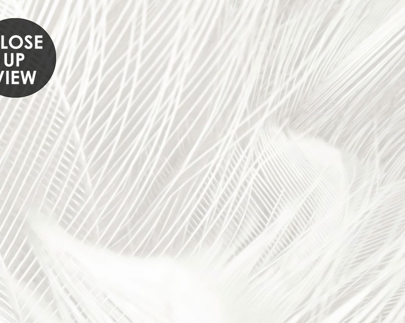 Monochrome Feather Pattern Wallpaper Mural