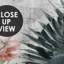 Old Tropical Leaf Wallpaper Mural