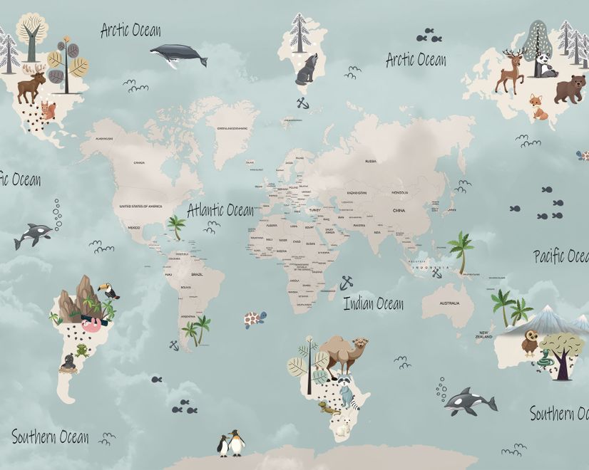 Kids Political World Map Wallpaper Mural